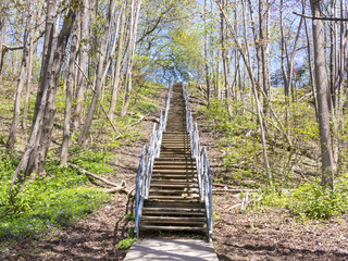 Stairs in Wilderness Park