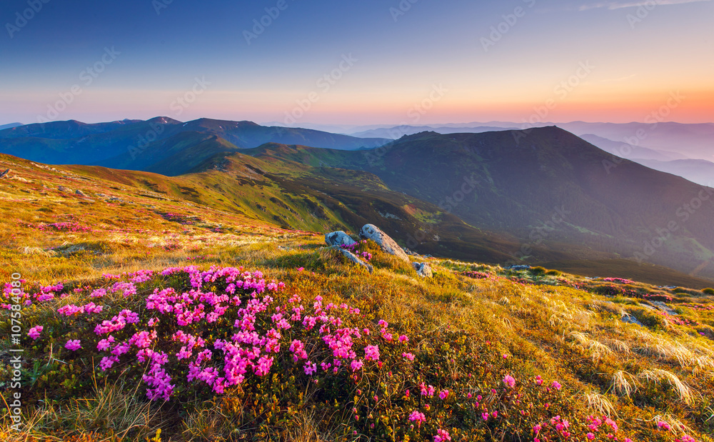 Poster mountains landscape