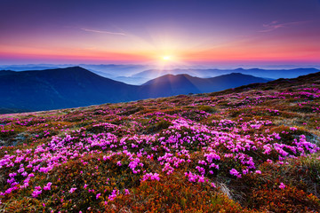 Plakat mountains landscape