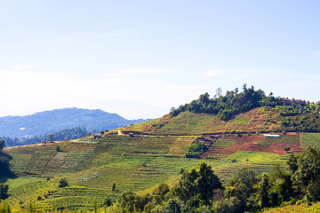 Fototapeta premium Thai landscape - valley with colorful hills and plantations, Thailand, Mae Rim