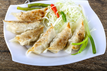 Japanese dumplings