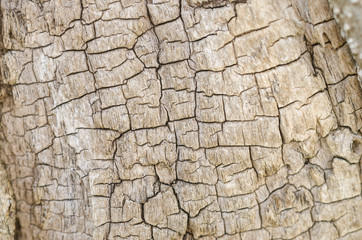 Abstract wooden texture background.