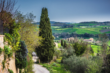 Italian view of the spring vineyards with a small Tuscan village
