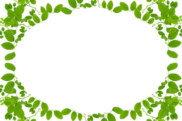 Green leaves frame isolated on white background .