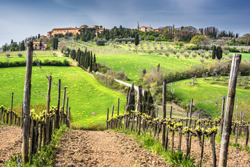 Fototapeta na wymiar Italian view of the spring vineyards with a small Tuscan village