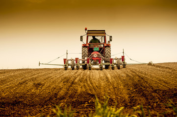 Planting soybean on field