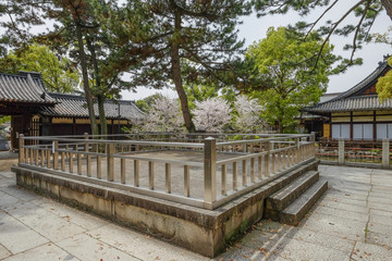 大阪 住吉大社 石舞台,
Sumiyoshi Taisha Shrine,Japan