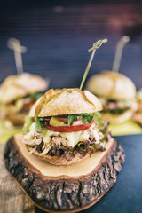 Pulled Pork burger with fresh vegetables and chips, Delicious homemade burger
