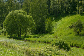 Fototapeta na wymiar Bright green landscape of small river valley in Khotkovo, Russia
