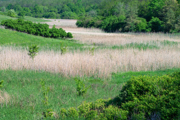 Obraz premium Landscape with steppe and river