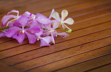 Fototapeta na wymiar Tropical flower on wooden surface.
