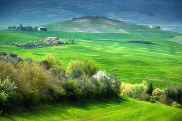 Obraz premium Tuscany lazy day in the landscape.