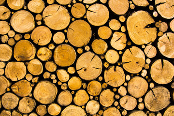 Rustic and cozy log wall
