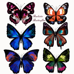 Obraz na płótnie Canvas Set of realistic vector butterflies for design
