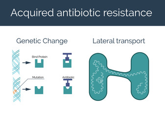Acquired antibiotic resistance vector illustration. Genetic change and lateral transport