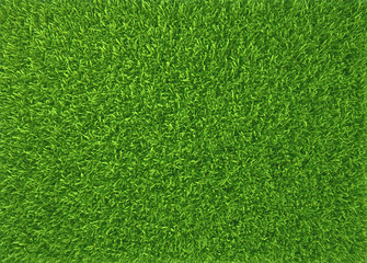 Naklejka na ściany i meble Green grass. natural background texture. fresh spring green grass