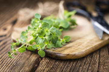 Fresh Oregano on wooden background