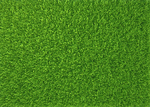 Green grass. natural background texture. fresh spring green grass © mirexon