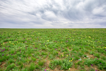 Background with spring meadow