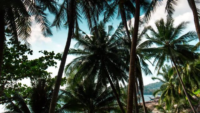 summer day palm beach phuket island panorama 4k time lapse thailand
