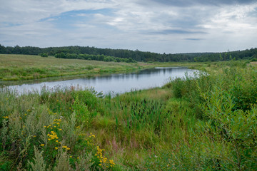 small overgrown pond lost in the fields of central Russia