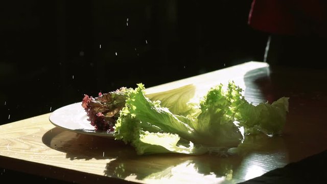 Lettuce salad on white plate, water splashing, drops on black background. Slowly