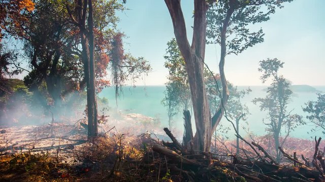 phuket island fire burning tree hill panorama 4k time lapse thailand
