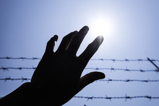 Silhouette hand extending to blue sky with barbwire and sunlight