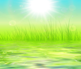 Fototapeta na wymiar Sunny green natural background with water