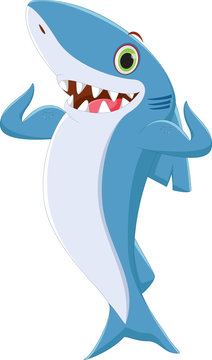 cute shark cartoon posing