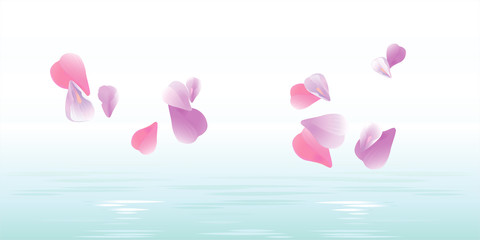 Pink petals falling in water. Sakura petals. Vector