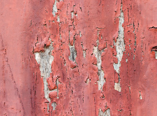 wood texture. background old panels