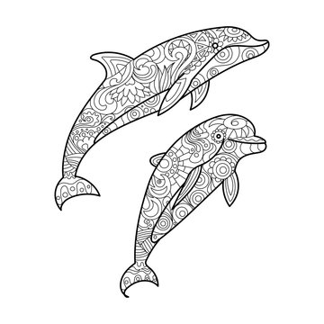 Dolphin coloring book for adults vector