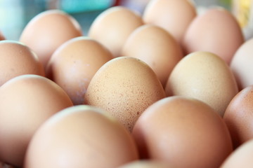 composition of chicken eggs that are in storage and ready to be distributed