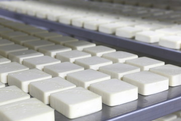 Obraz premium new production cheddar cheese