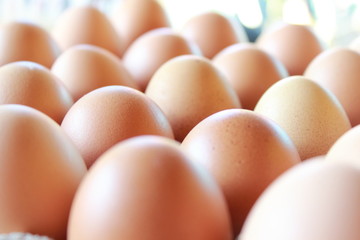 composition of chicken eggs that are in storage and ready to be distributed