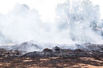 Burning cornstalk in a field by farmer
