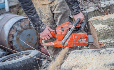 man cutting trees using an electrical chainsaw and professional tools
