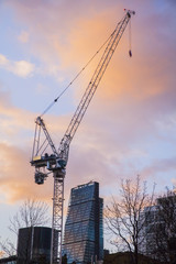 
construction crane builds a skyscraper at sunset London England