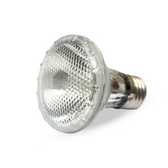 Halogen light bulb isolated over white