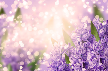 Beautiful floral background