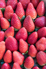 Strawberries. Fresh strawberries on the market