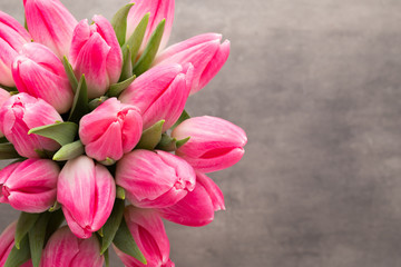 Obraz premium More tulip on the grey background.