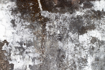 Obraz premium white concrete wall texture