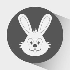 cute rabbit  design 