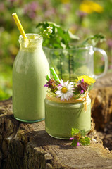 gr&uuml;ner Smoothie mit Wildkr&auml;utern