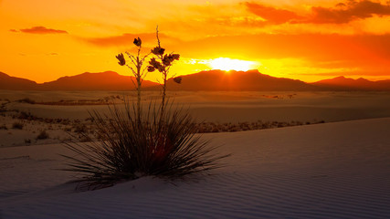 White Sands National Monument Sunset, New Mexico - Timelapse