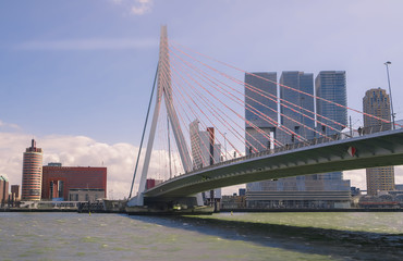 Erasmusbrücke - Rotterdam - Holland