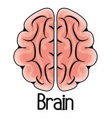 brain storming design 