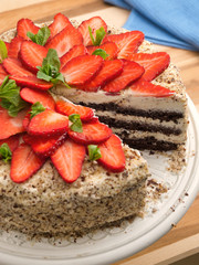 Homemade chocolate cake with strawberries. Horizontal shot. Close up vertical shot. One piece out.